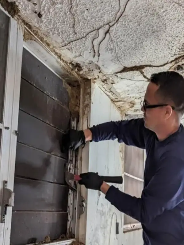 Eliminación de comején en marco de puerta de madera