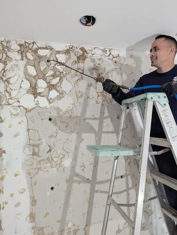 Tratamiento de comején en pared con daño visible